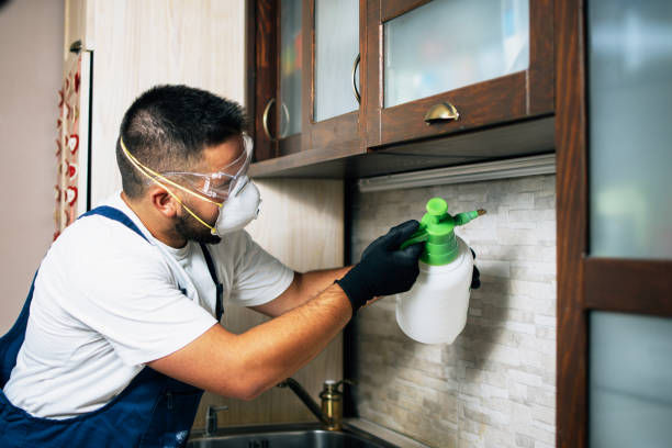 Professional Pest Control in Paradise Valley, AZ