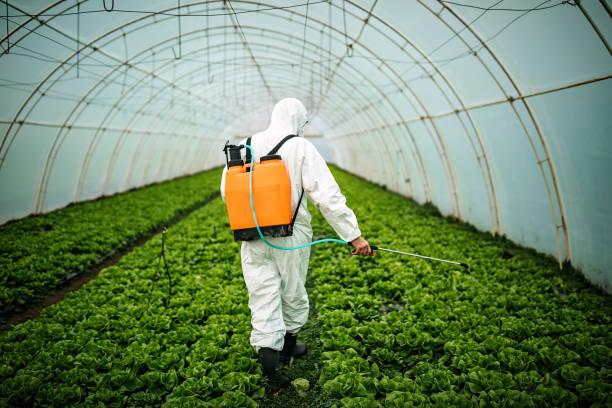  Paradise Valley, AZ Pest Control Pros