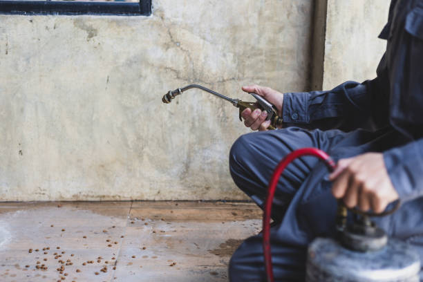 Best Pest Control Near Me  in Paradise Valley, AZ