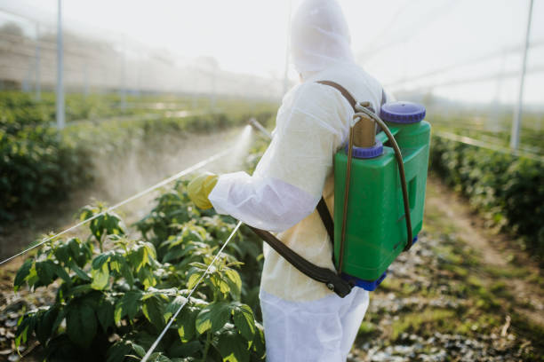Best Exterminator Services  in Paradise Valley, AZ